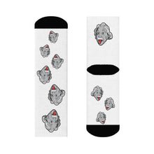 Load image into Gallery viewer, Cheeky Einstein Crew Socks - Science Geek Club