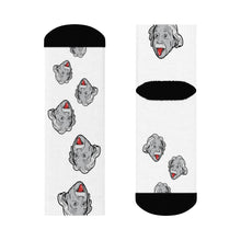 Load image into Gallery viewer, Cheeky Einstein Crew Socks - Science Geek Club