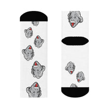 Load image into Gallery viewer, Cheeky Einstein Crew Socks - Science Geek Club