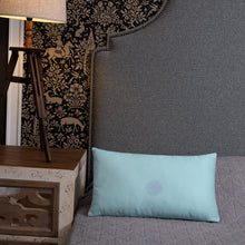 Load image into Gallery viewer, Fibbonaci Spiral Decorative Pillow - Science Geek Club